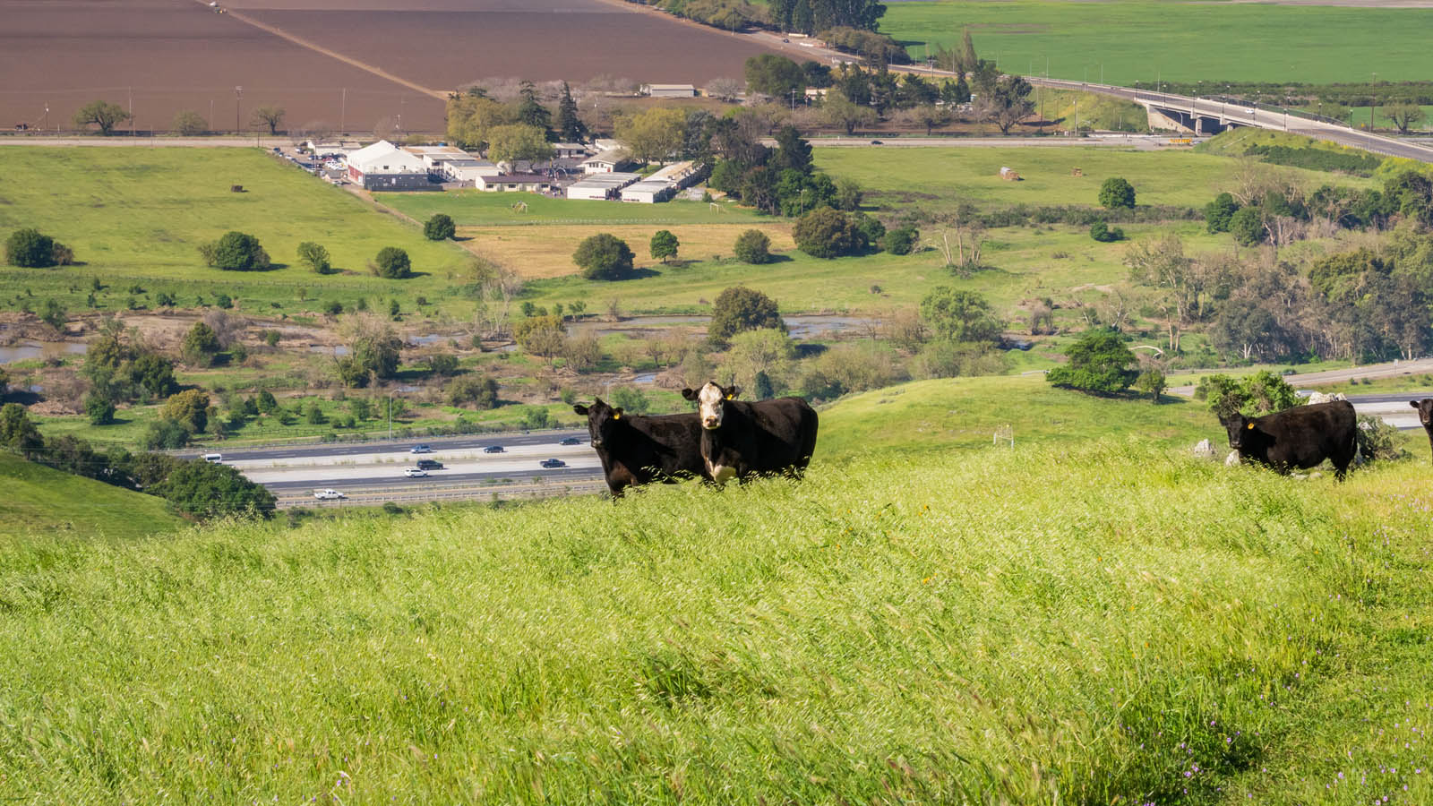 California Ranch Property for Sale Real Estate Home Ranch Properties